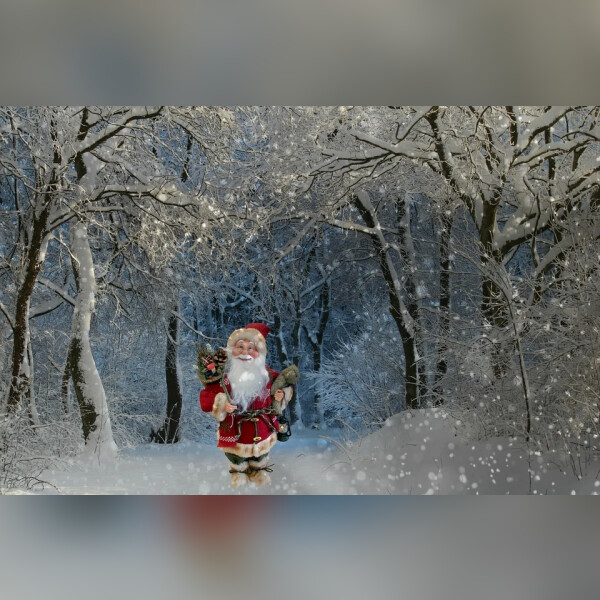 Дед Мороз в гостях у сказки