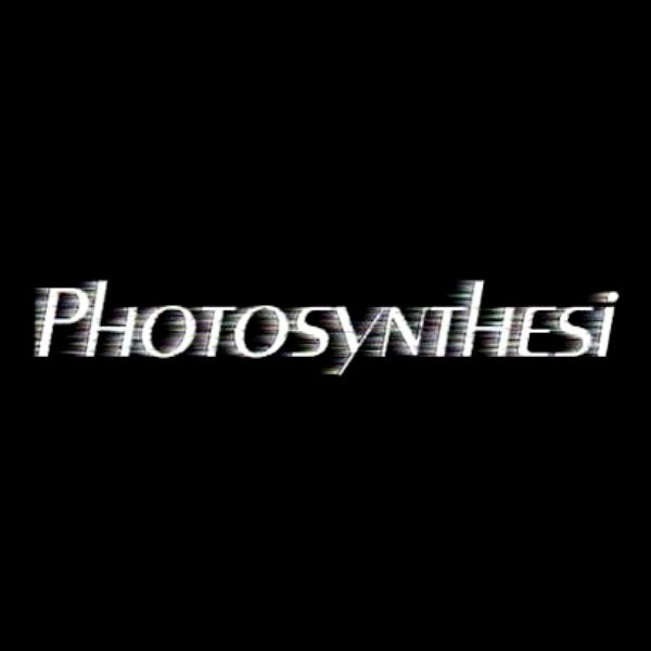 Photosynthesi