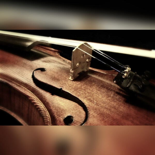 Мастерская скрипичного искусства