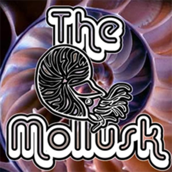 The Mollusk