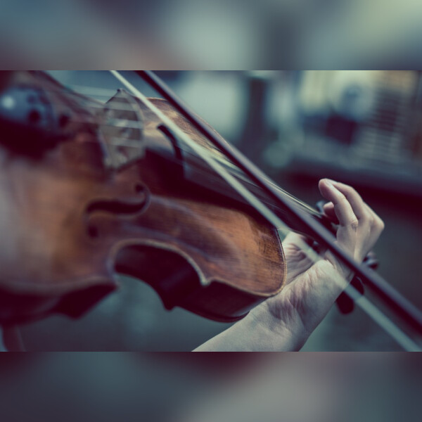 Скрипка в разном свете
