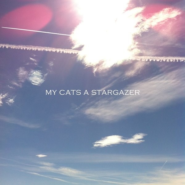 My Cats a Stargazer