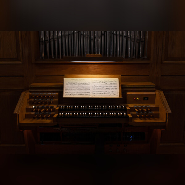 Выставка органных открытий