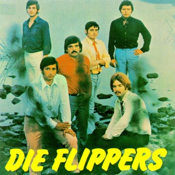 Flippers