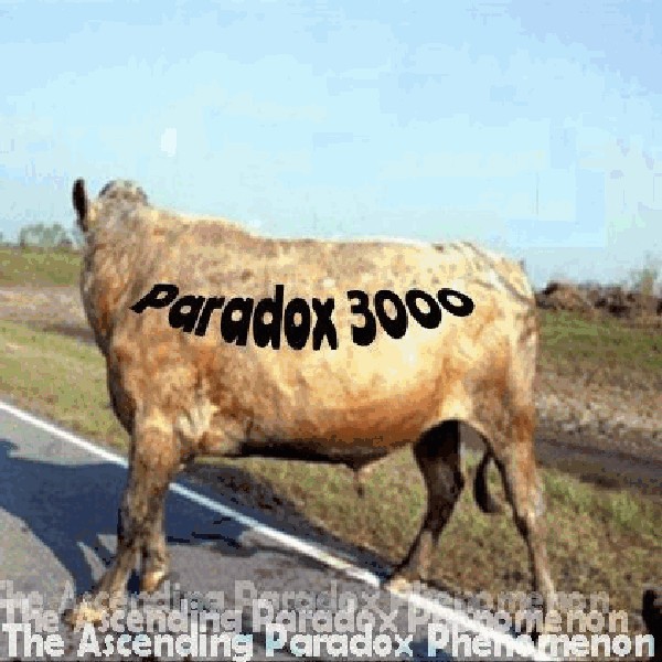 Paradox 3000