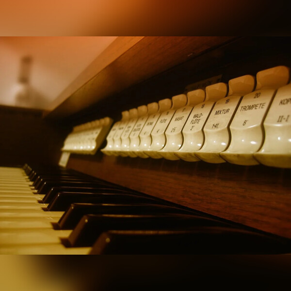 Фикси-секреты органного зала
