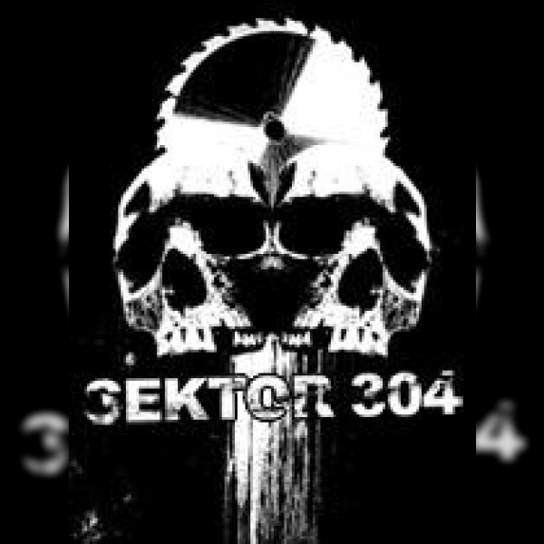 Sektor 304