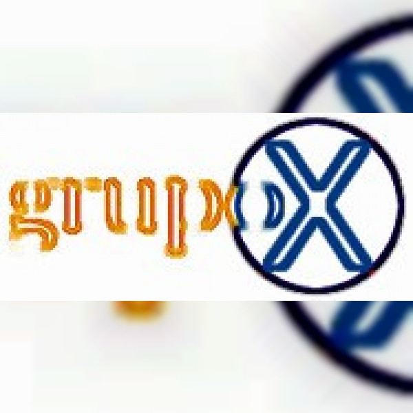 Grupo X