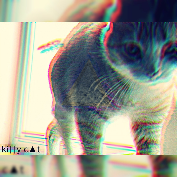 ki††y c▲t