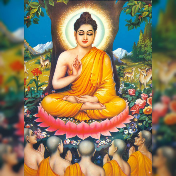 Buddhattitude