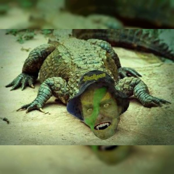 Alligator Jackson