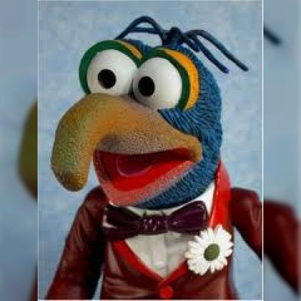 The Great Gonzo