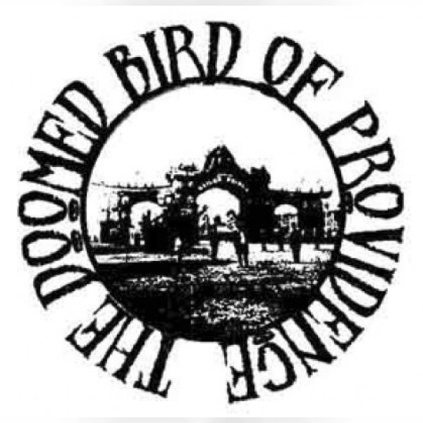 The Doomed Bird of Providence