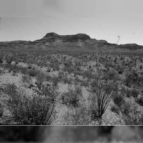 New Mexican Stargazers