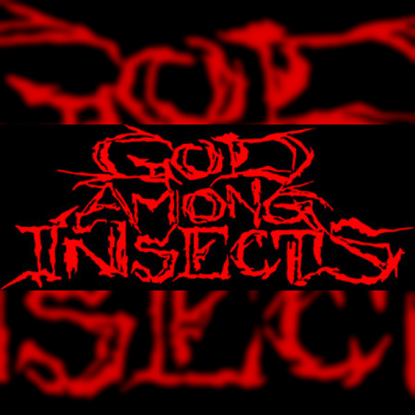 God Among Insects