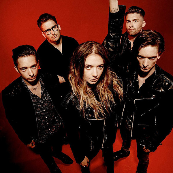 Marmozets