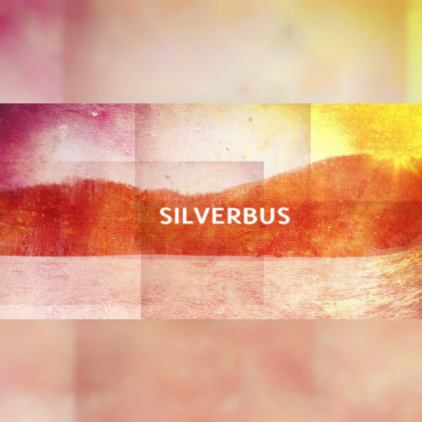 Silverbus