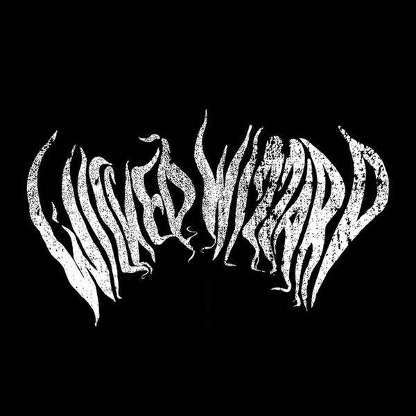 Wicked Wizzard