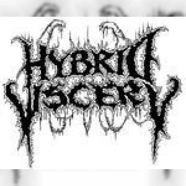 Hybrid Viscery