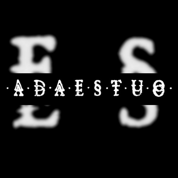 Adaestuo