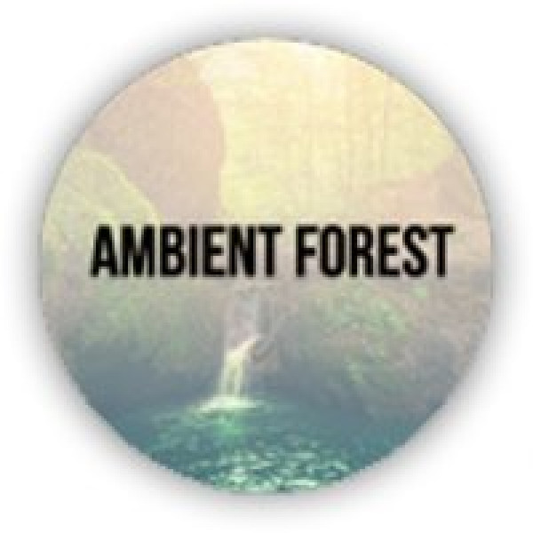 Ambient Forest