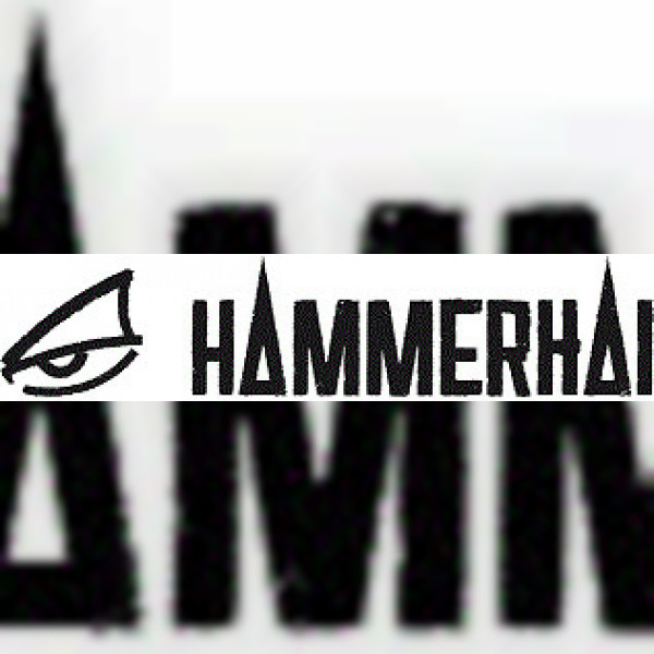 Hammerhai