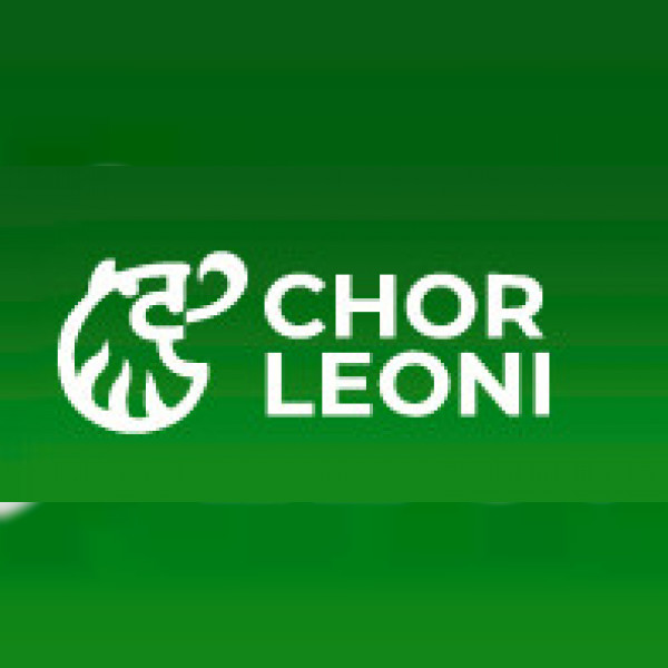 Chor Leoni Men's Choir