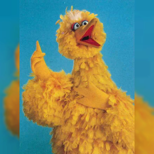 Big Bird