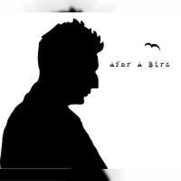 Afar a Bird