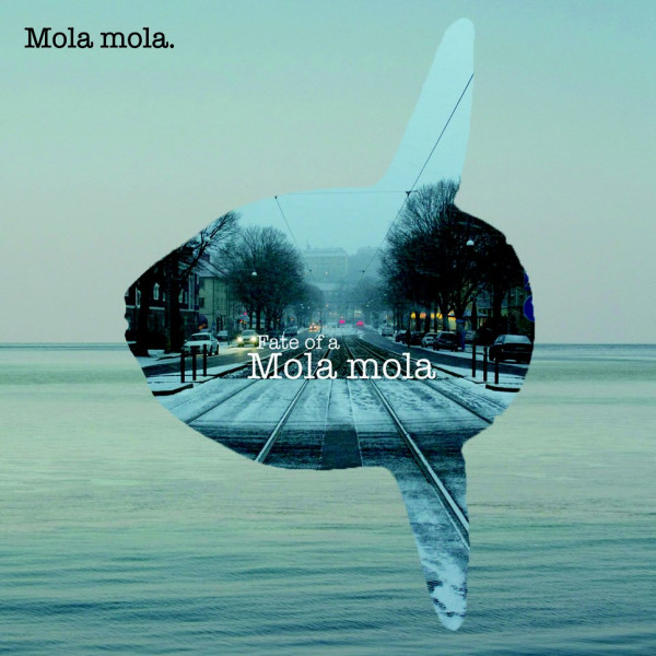 Mola Mola