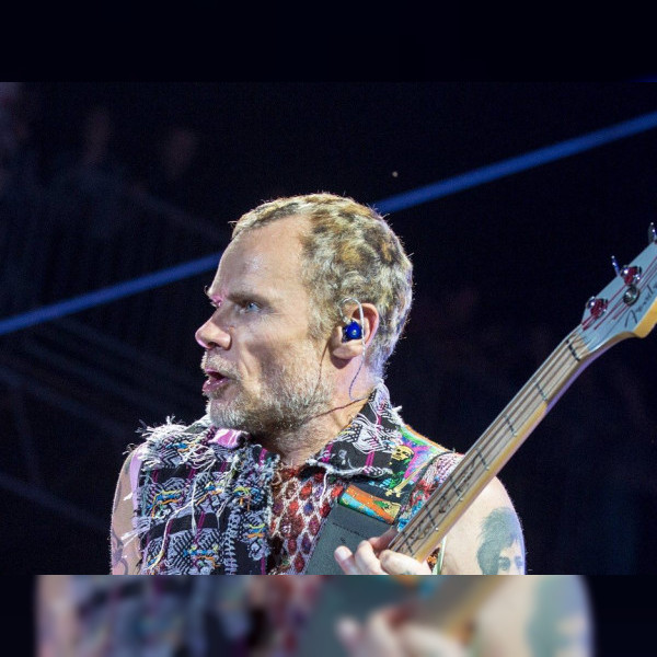 Flea