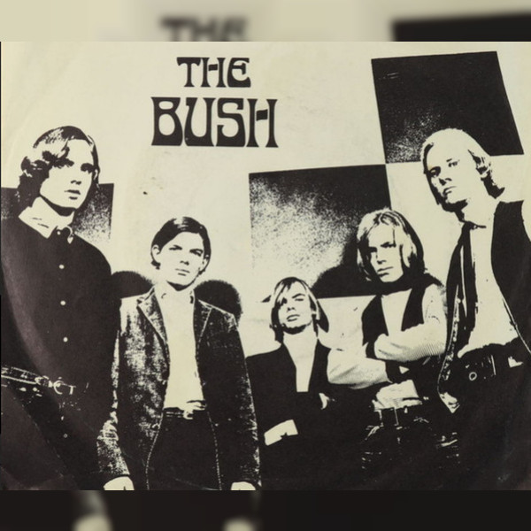 The Bush