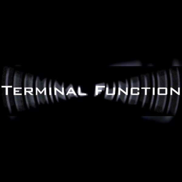 Terminal Function