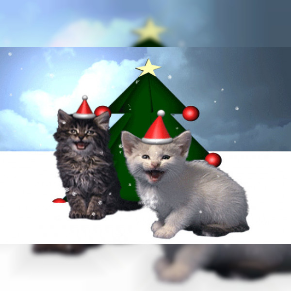 Jingle Cats