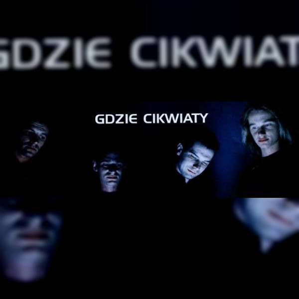 Gdzie Cikwiaty