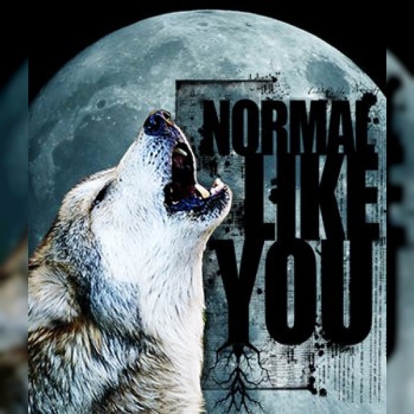 Normal Like You