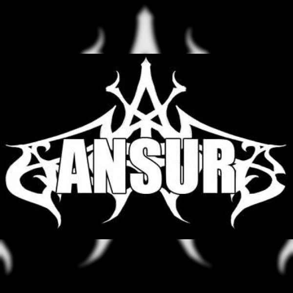 Ansur