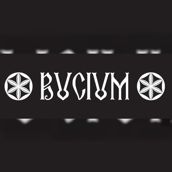 Bucium