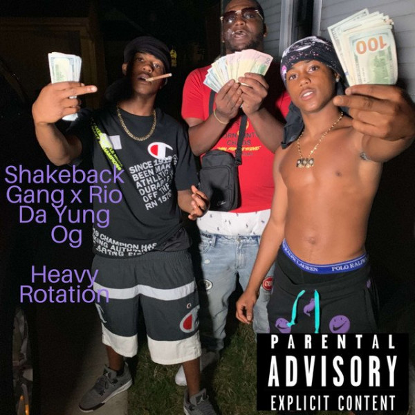 Shakeback Gang