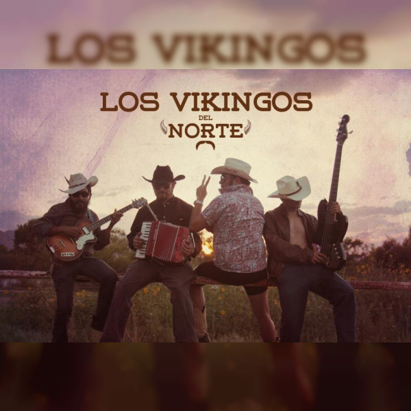 Los Vikingos del Norte