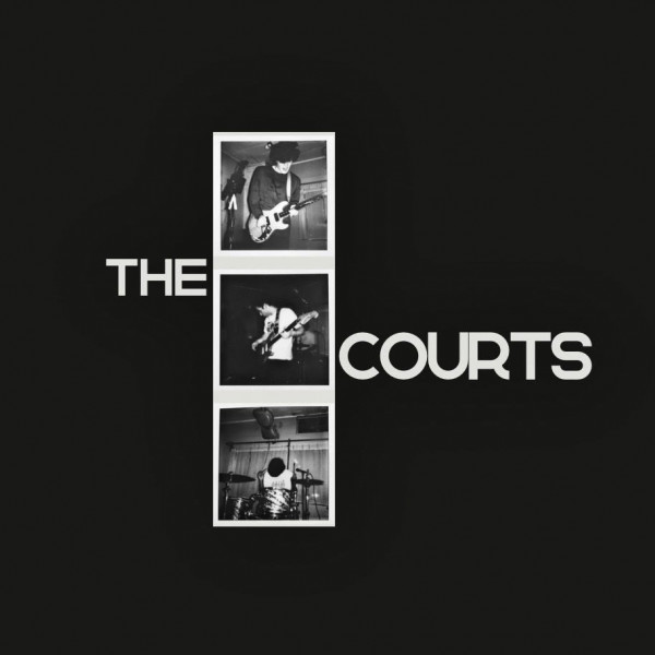 the courts