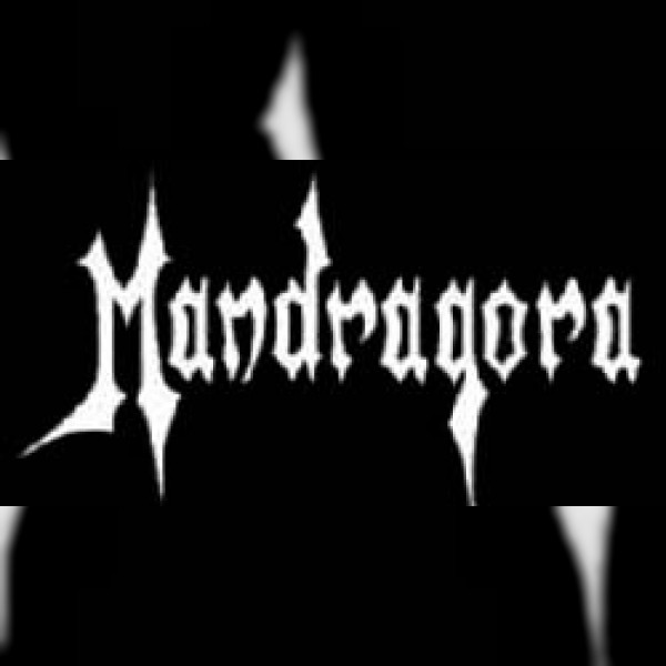 Mandragora