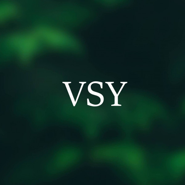 VSY