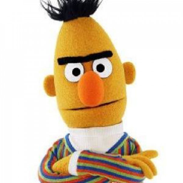 Bert