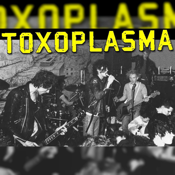 Toxoplasma