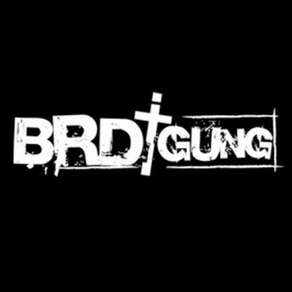 BRDigung