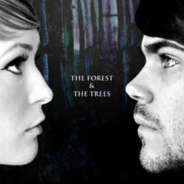 The Forest & The Trees