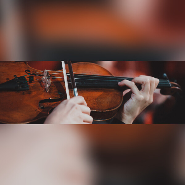 Фестиваль в Пушкинском: Орган+. Орган+скрипка. Концерт с мультимедийной инсталляцией