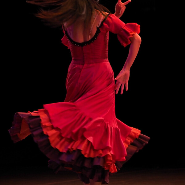 Flamenco Esencia