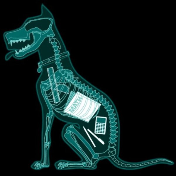 X-Ray Dog